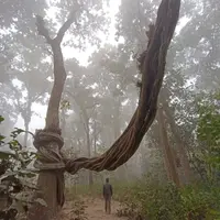 尼泊爾 奇特旺國家公園 1