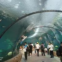 雲南 西雙版納 1