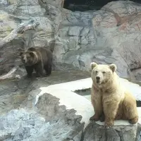 雲南 西雙版納 2