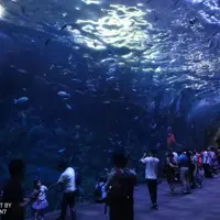 雲南 西雙版納 6