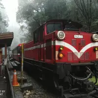 嘉義 新中橫公路 水里、塔塔加、阿里山、嘉義夜市 1