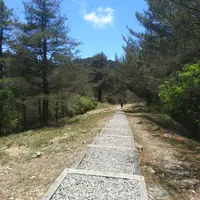 台中 大雪山 國家森林遊樂區 1