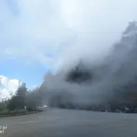 台中 大雪山 國家森林遊樂區 2