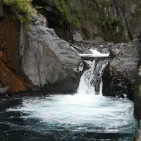 南投 紅香部落+溫泉、帖比倫瀑布、 中寮 炮哥薑母鴨 1