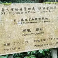 南投 溪頭風景區 1