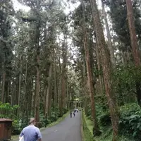 南投 溪頭風景區 2