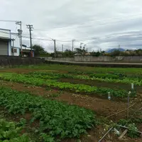 桃園 大江購物中心 燒丼 株式會社 1