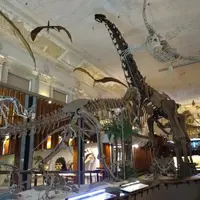 台北 敦化北路巷內 十二藍 螃蟹海鮮粥 1