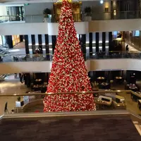 台北 隨意鳥地方101景觀餐廳 (2訪) 1