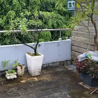 台北 逸仙路 王鍋屋 京都酸白菜鍋專門店 1