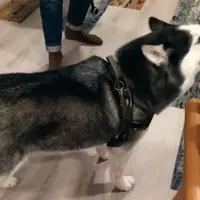 台北 台虎啜飲室、Tickle my fantasy酒吧、文昌街53號酒吧、微風南山 Ce La Vi 1