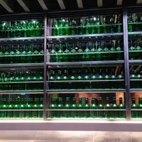 台北 楓樹韓式烤肉 2