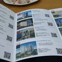 越南 達桑地產 (Dat Xanh) 簡報 1