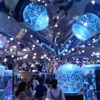 新北 林口 盧卡 義大利料理、桃園青埔 Xpark 水族館 1