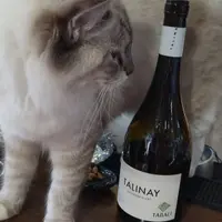 台中 黎明路 弘川藏酒閣 1