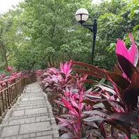 台北 松山區 芳朵麻辣鍋、大安區 拉薇酒坊(2訪) 2