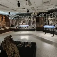 台北 松山區 芳朵麻辣鍋、大安區 拉薇酒坊(2訪) 3