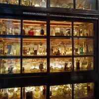 台北 松山區 芳朵麻辣鍋、大安區 拉薇酒坊(2訪) 4