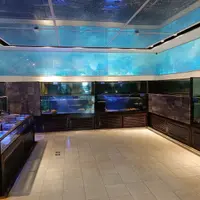 台北 復興南路 真的好海鮮餐廳、科技大樓 天藏地酒 (已改名: Jdan's wine cellars) 6