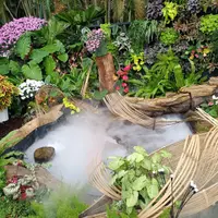 台北 士林官邸 菊展、寶清街 黑馬小廚(2訪) 2