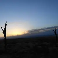 寧夏 回族自治區 賀蘭山畫岩、西夏王陵、水洞溝遺址