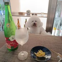 台北 大安區 羽Sake 1