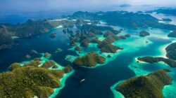 How To Go To Raja Ampat ? Dive, Hike, or Relax – When to Go Perfect